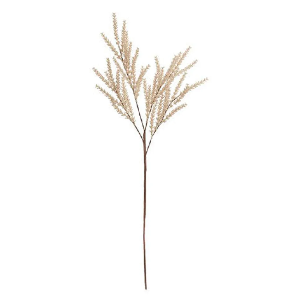 BUNGALOW Oat Branch Creme