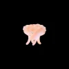 MAANESTEN Pasha Hair Claw Sunbeam