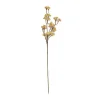 BUNGALOW Cornelian Cherry Flower Sunshine