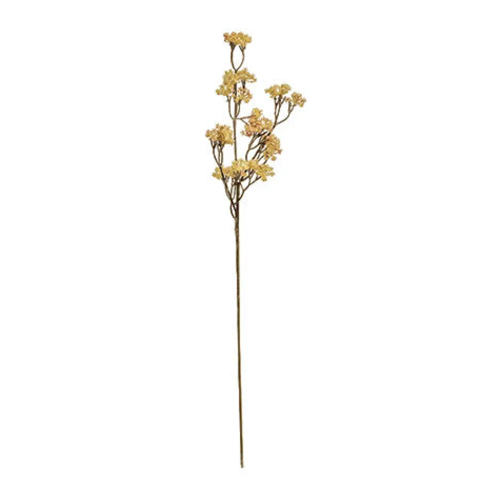 BUNGALOW Cornelian Cherry Flower Sunshine